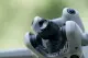 DJI Mini 4 Pro Wide Angle Lens #6