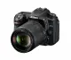 Nikon D7500 + AF-S DX NIKKOR 18-140 VR #3