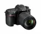 Nikon D7500 + AF-S DX NIKKOR 18-140 VR #6