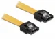 DeLOCK 0.3m SATA Cable
