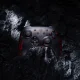 8Bitdo Ultimate 2C #28