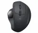 Logitech MX Ergo #2