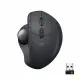 Logitech MX Ergo #7