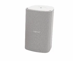 Bose FreeSpace FS2SE
