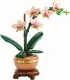 LEGO Botanicals Mini Orchid #4