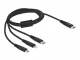 DeLOCK 87149