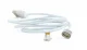 Gembird CC-USB2-AMLMM-1M