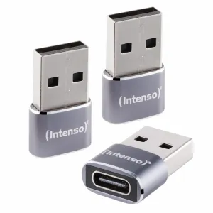 Intenso 7600013