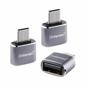 Intenso 7600113