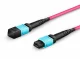 Lanview LVO230410-MTP-2XS #2