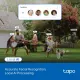 TP-Link Tapo C560WS #4