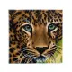 CRAFT Buddy Leopard #2