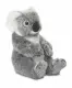 WWF 15186001