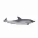 Mojo Fun Common Dolphin (Portugal)