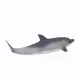 Mojo Fun Common Dolphin (Portugal) #5