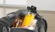 Bosch MMB6174S #2