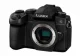 Panasonic Lumix G90 #2