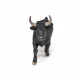 Papo Bull #2