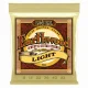 Ernie Ball Earthwood Lite