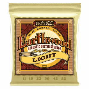 Ernie Ball Earthwood Lite