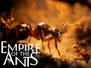 Microids Empire Of The Ants