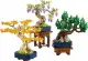 LEGO Botanicals Mini Bonsai Trees #3