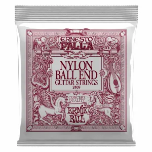 Ernie Ball P02409