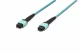 Digitus OM3 MPO/MPO 30m