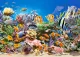 Castorland Colours of the ocean 260 pcs #2