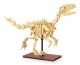 Jamara CaDA Velociraptor Bricks