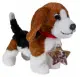 Lumo Stars Beagle Cooper