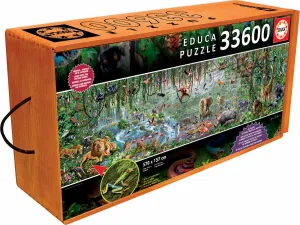 Educa 16066