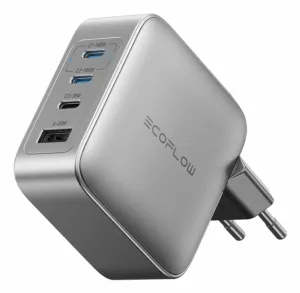 EcoFlow RAPID Pro