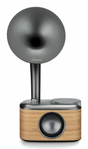 Sangean CP-100D