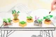 MGA Entertainment Miniverse Make It Mini Nature Series 2 in PDQ #12