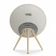 Bang & Olufsen Beosound A9 #6