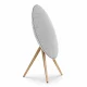 Bang & Olufsen Beosound A9 #2