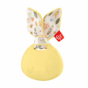 Fisher-Price HRB20