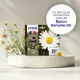Epson Daisy C13T18024012 #18