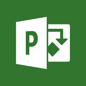 Microsoft Project Professional