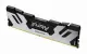 Kingston Technology FURY Renegade