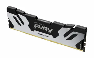 Kingston Technology FURY Renegade