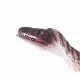 Mojo Fun Troodon with Articulated Jaw #6