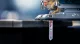 Bosch 2 608 900 565 #3