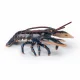 Papo Lobster #2