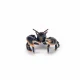 Papo Lobster #3