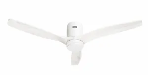 Hombli HBCF-0199