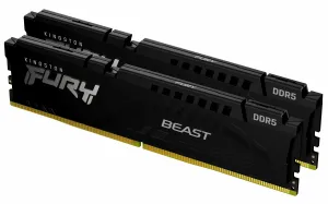 Kingston Technology FURY Beast