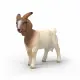 schleich FARM WORLD 14929
