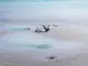 DJI Mini 3 Pro (RC RM330) #29
